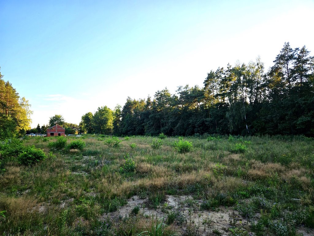 Działka budowlana na sprzedaż Łódź, Kolumny  1 000m2 Foto 4