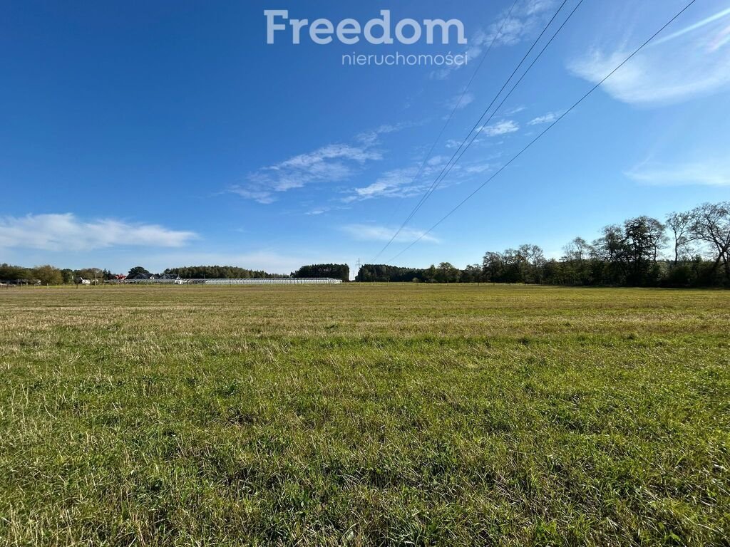 Działka budowlana na sprzedaż Budy Barcząckie  3 050m2 Foto 1