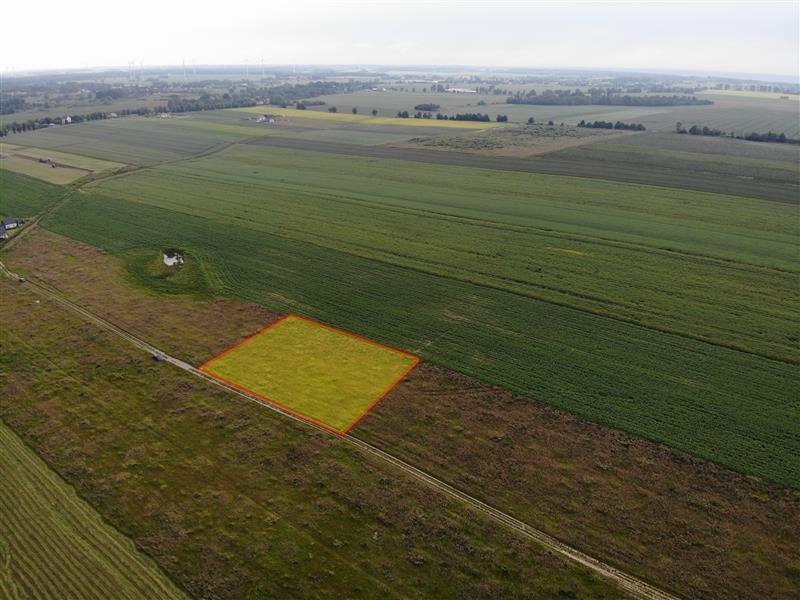 Działka inna na sprzedaż Śmiechów, Śmiechów  3 000m2 Foto 5