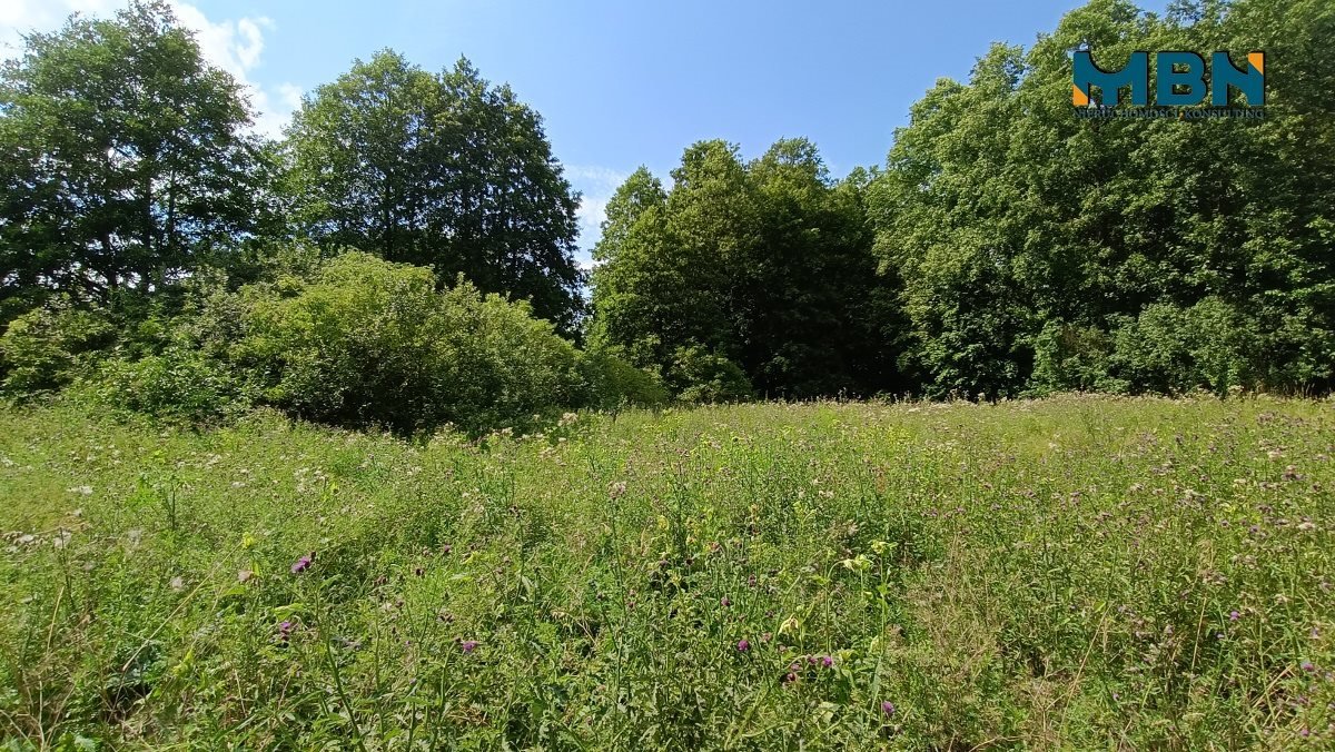 Działka rolna na sprzedaż Pozezdrze, Pieczarki  1 300m2 Foto 11