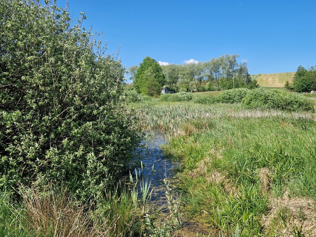 Działka budowlana na sprzedaż Szarłata, Spadzista  15 977m2 Foto 3