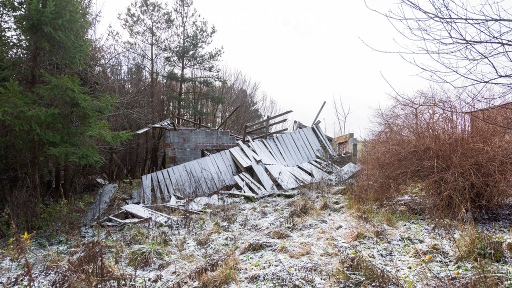 Działka budowlana na sprzedaż Michalin, Strumykowa  3 124m2 Foto 19