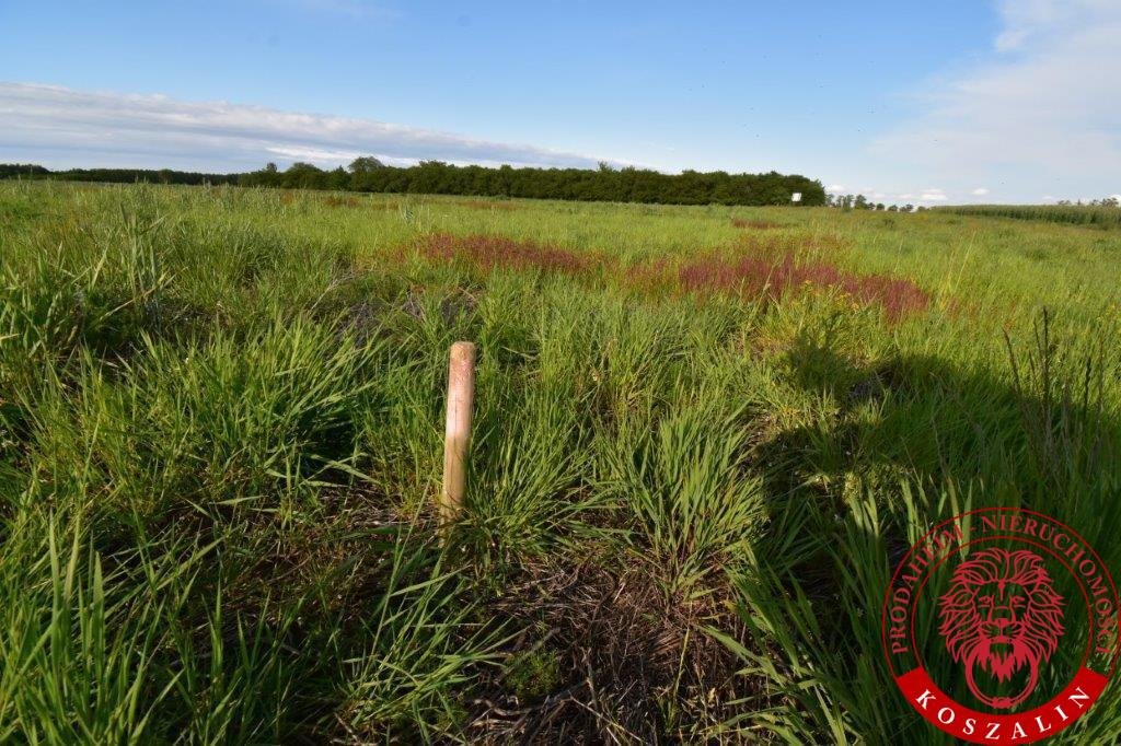 Działka budowlana na sprzedaż Koszalin, Jamno-Łabusz  800m2 Foto 1