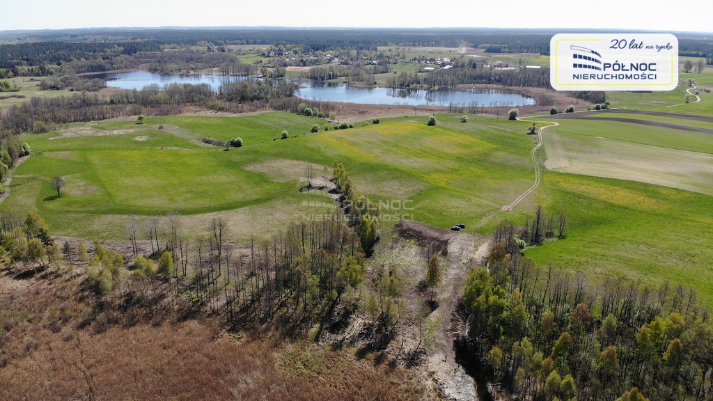 Działka siedliskowa na sprzedaż Strzelniki  97 500m2 Foto 5