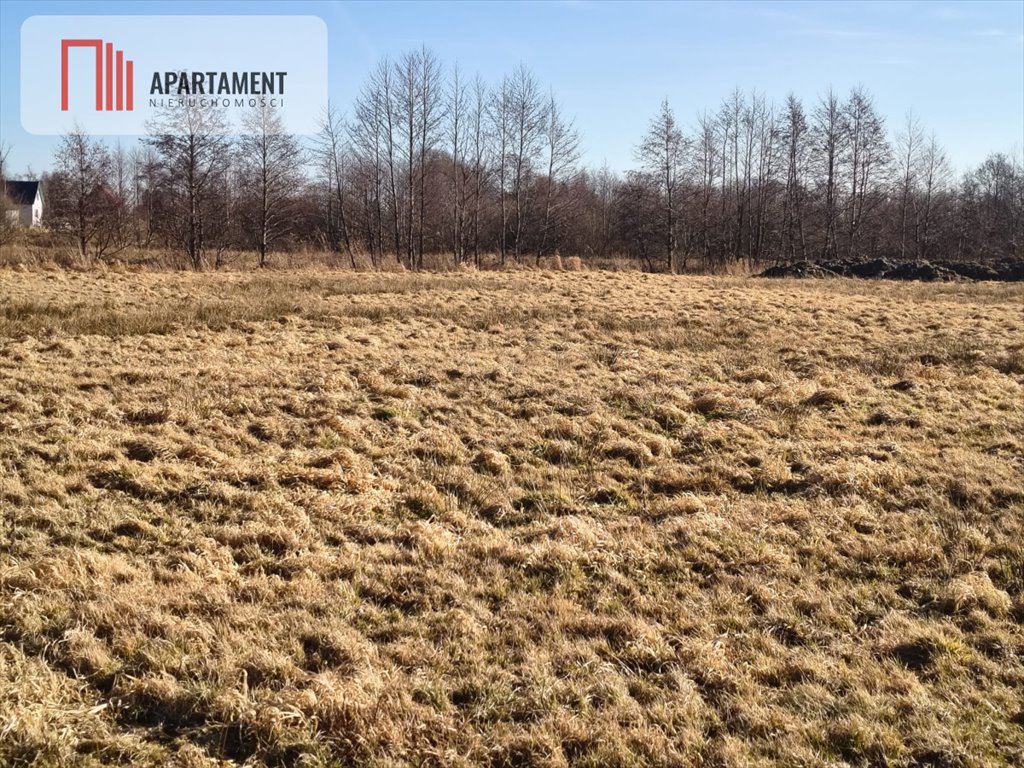 Działka 3000 m² z potencjałem inwestycyjnym i nadmorskim klimatem Kładno  3 000m2 Foto 1