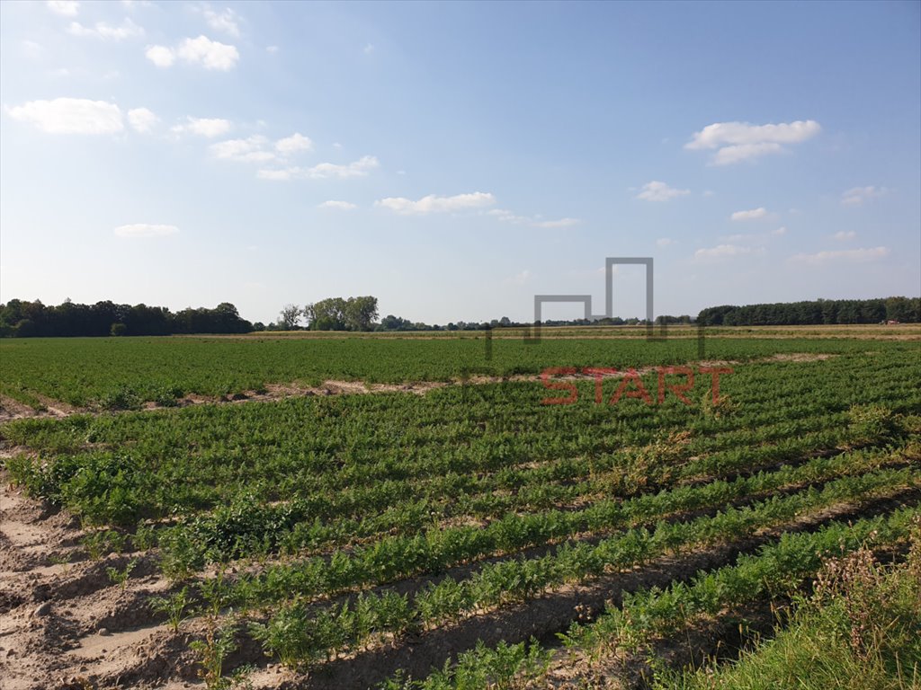 Działka rolna na sprzedaż Żuków  32 900m2 Foto 6