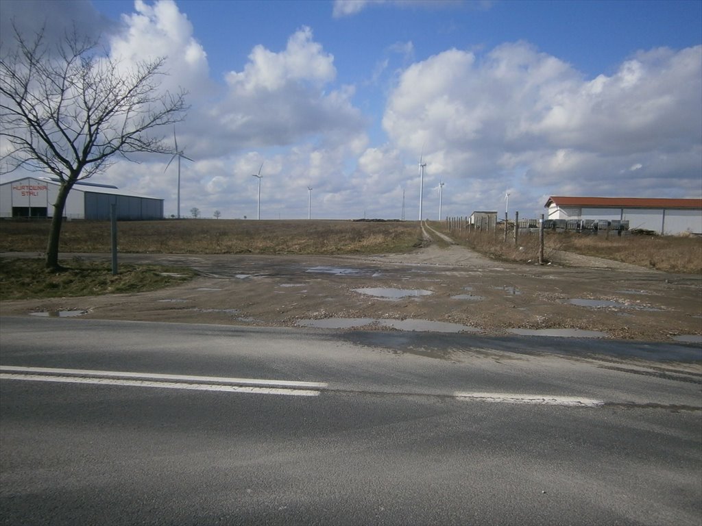 Lokal użytkowy na sprzedaż Złotów, Blękwit  2 594m2 Foto 15