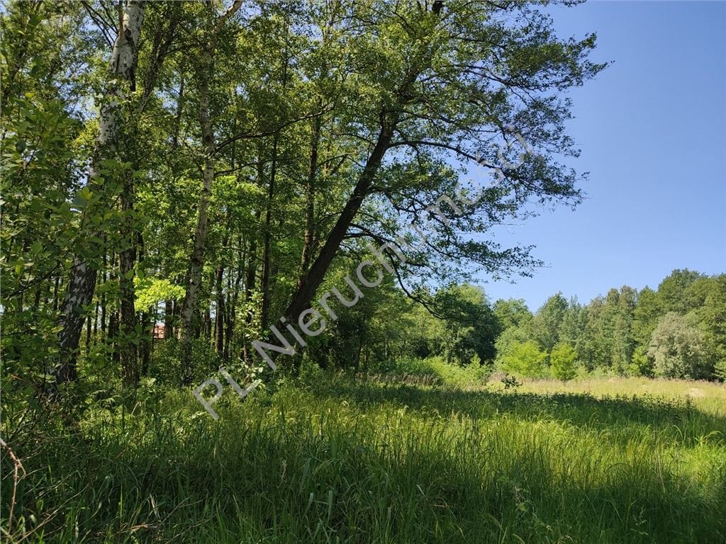 Działka budowlana na sprzedaż Czarny Las  1 800m2 Foto 3