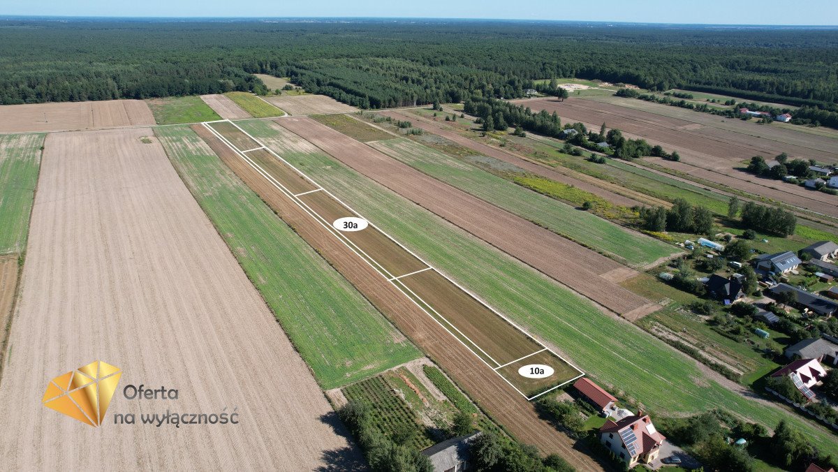 Działka budowlana na sprzedaż Nasutów  3 000m2 Foto 1