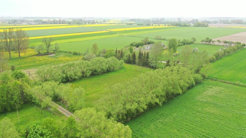 Działka rolna na sprzedaż Helenowo  6 700m2 Foto 3