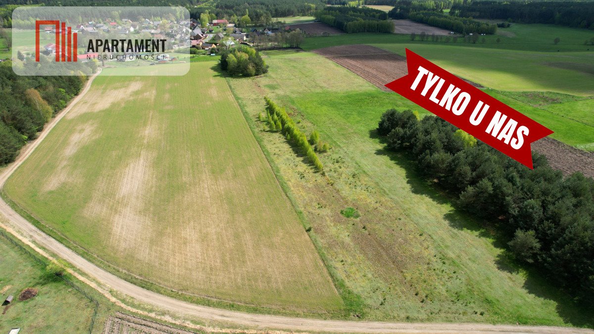 Działka budowlana na sprzedaż Lubocień  6 000m2 Foto 16