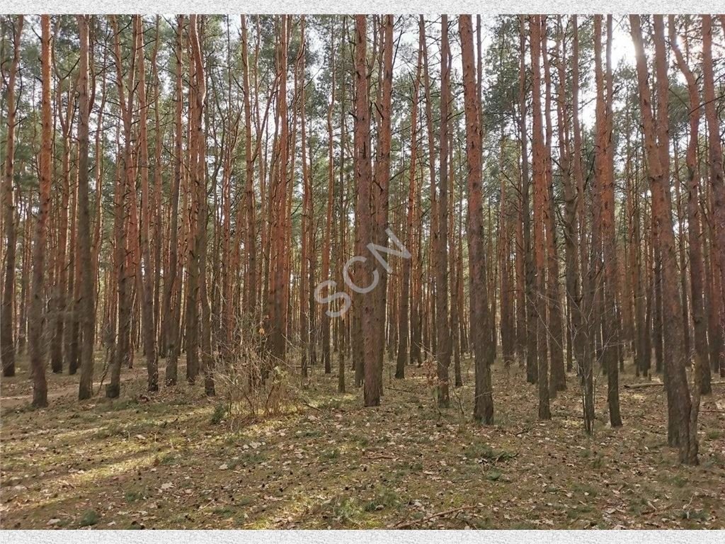 Działka budowlana na sprzedaż Sulejówek  1 500m2 Foto 2