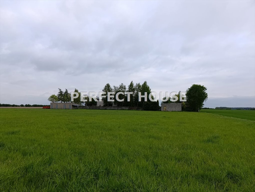 Siedlisko hippiczne z własnym ujęciem i 2 łąkami w Czerlejnie Czerlejno, Mikuszyn  13 598m2 Foto 1