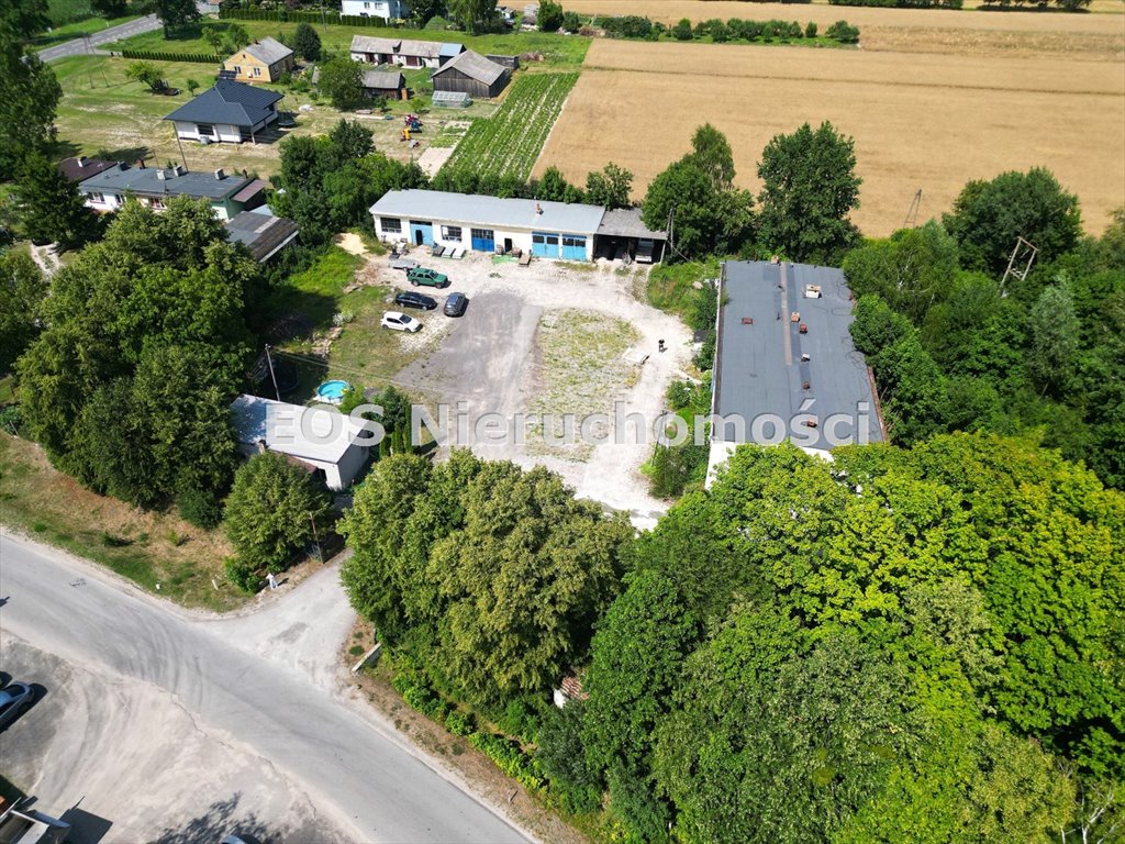 Lokal użytkowy na sprzedaż Świerszczów-Kolonia  740m2 Foto 7