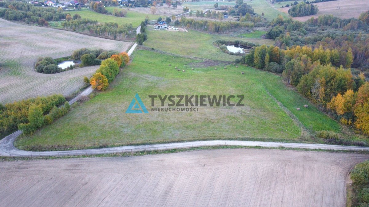 Działka siedliskowa na sprzedaż Olszanka, Malinowa  4 000m2 Foto 7