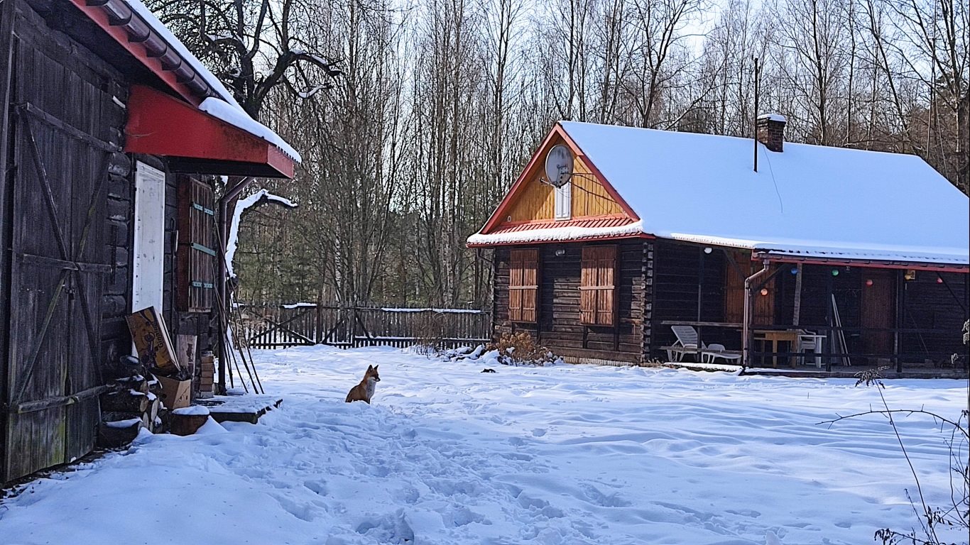 Działka siedliskowa na sprzedaż Janów Lubelski  172 850m2 Foto 1