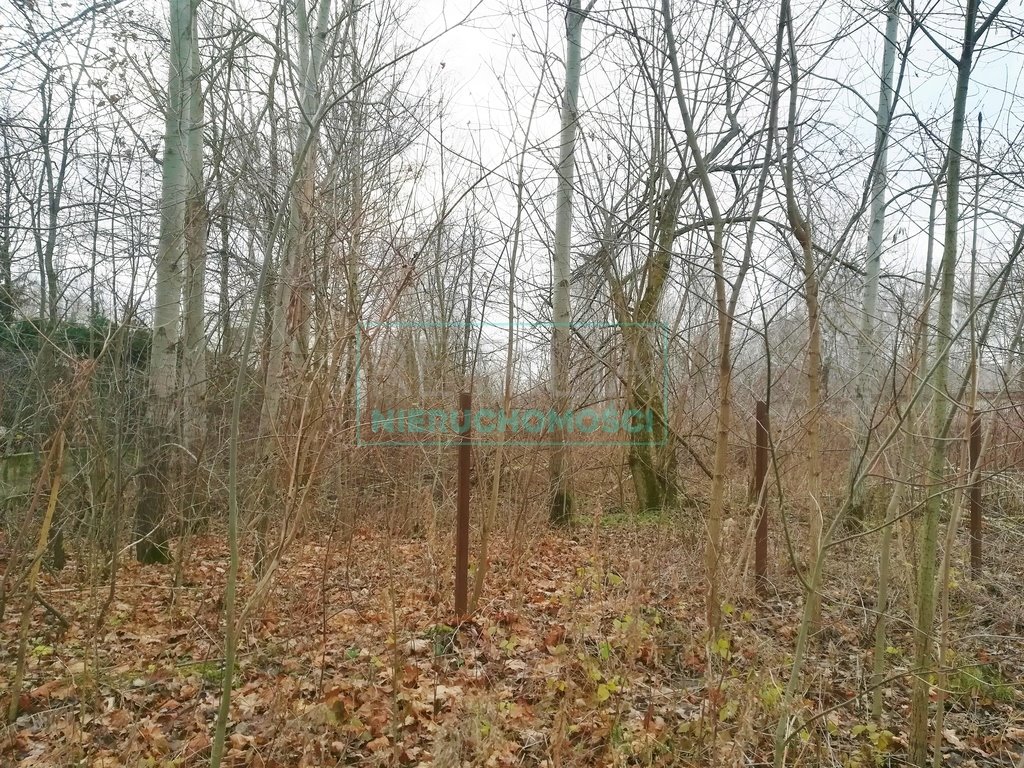 Działka inwestycyjna 3 798 m² z możliwością budowy do 18 m Grodzisk Mazowiecki  3 798m2 Foto 1