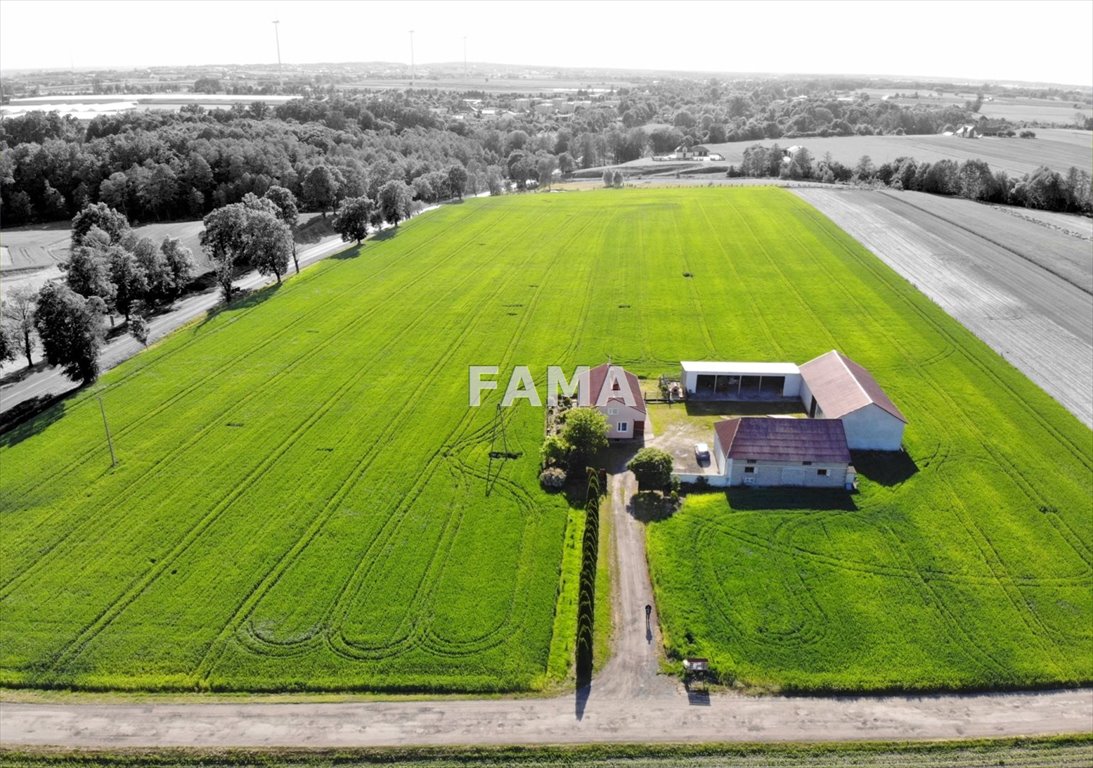 Kompleks 3 budynków i 107 m2 mieszkania w Krojczynie Dobrzyń nad Wisłą, Krojczyn  107m2 Foto 1