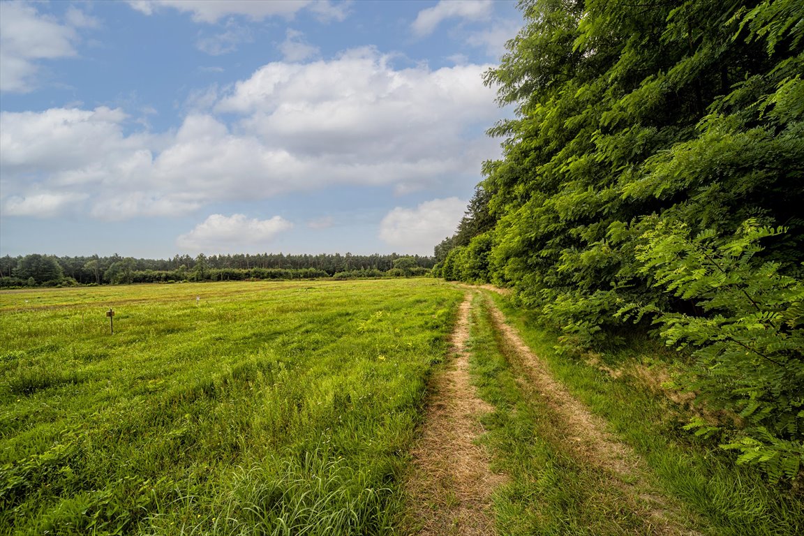 Działka budowlana na sprzedaż Skierniewice, Działka otoczona lasem 50 min od Warszawy!  529m2 Foto 7