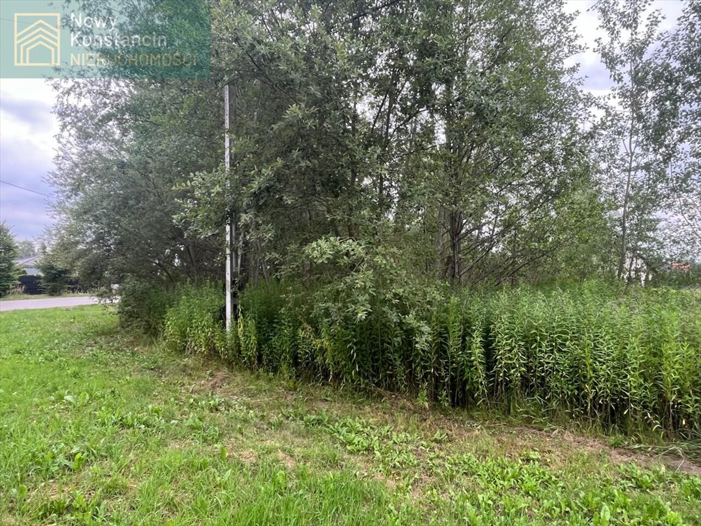 Działka 3310 m2 z możliwością zabudowy w Borowinie Konstancin-Jeziorna, Borowina  3 310m2 Foto 1