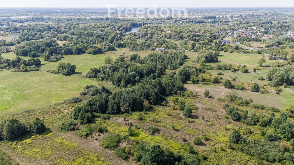 Działka rolna na sprzedaż Ostrówiec  6 567m2 Foto 10