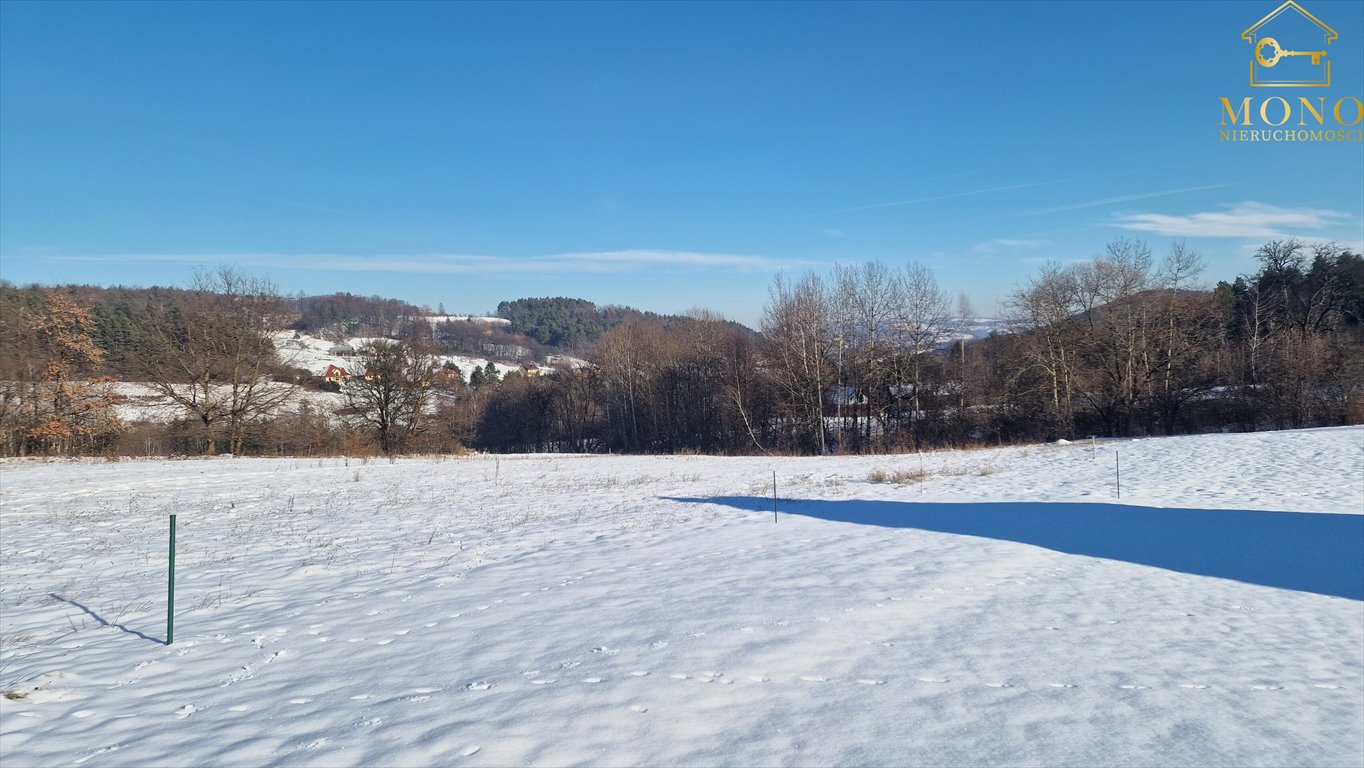 Działka budowlana na sprzedaż Krasne Potockie  4 200m2 Foto 5