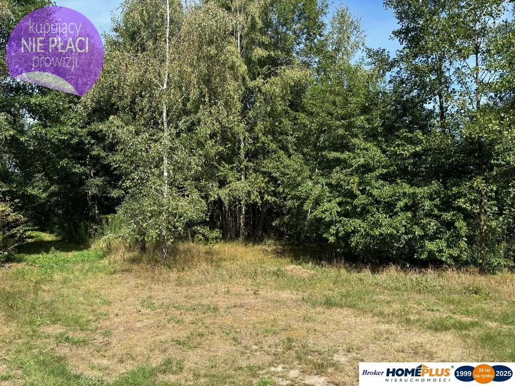 Działka inna na sprzedaż Ludwinów  3 566m2 Foto 1