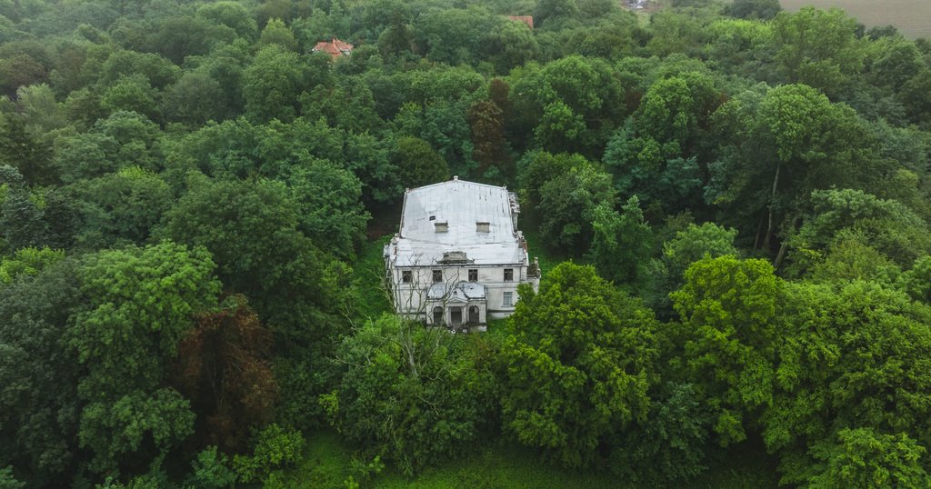 Dom na sprzedaż Oporów  1 000m2 Foto 2