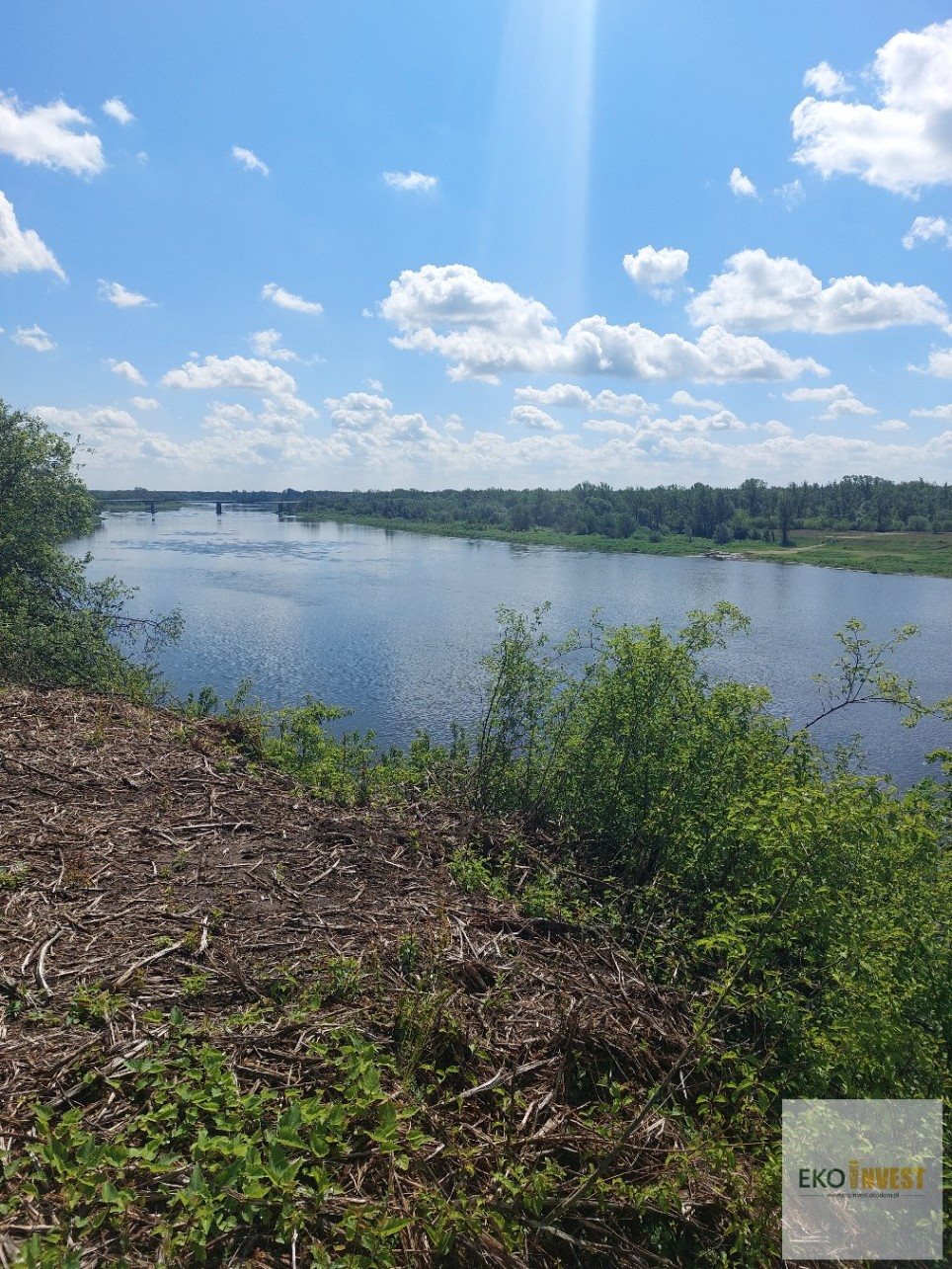 Działka rekreacyjna na sprzedaż Pomiechówek, Pomiechówek  3 100m2 Foto 1