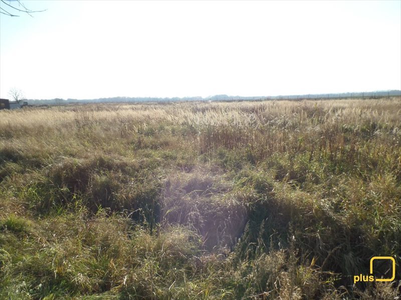 Działka budowlana na sprzedaż Mikołów, Borowa Wieś, Mokierska 1 088m2 Foto 1 Działka budowlana na sprzedaż Mikołów, Borowa Wieś, Mokierska 1 088m2 Foto 1