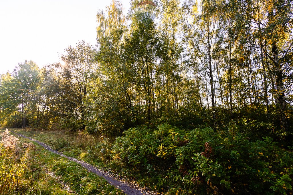 Działka rolna na sprzedaż Łódź, Polesie  1 462m2 Foto 20