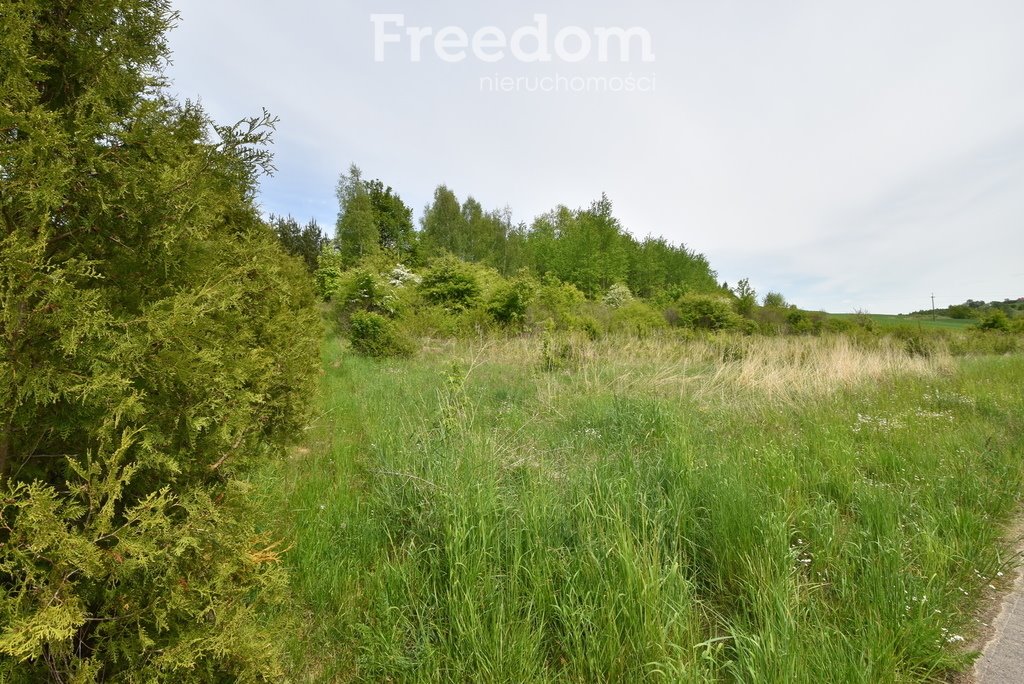 Działka budowlana na sprzedaż Szewna  3 700m2 Foto 3