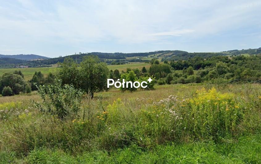 Działka 1224 m² z widokiem na góry, możliwość zabudowy Nowa Ruda, Drogosław  1 224m2 Foto 1