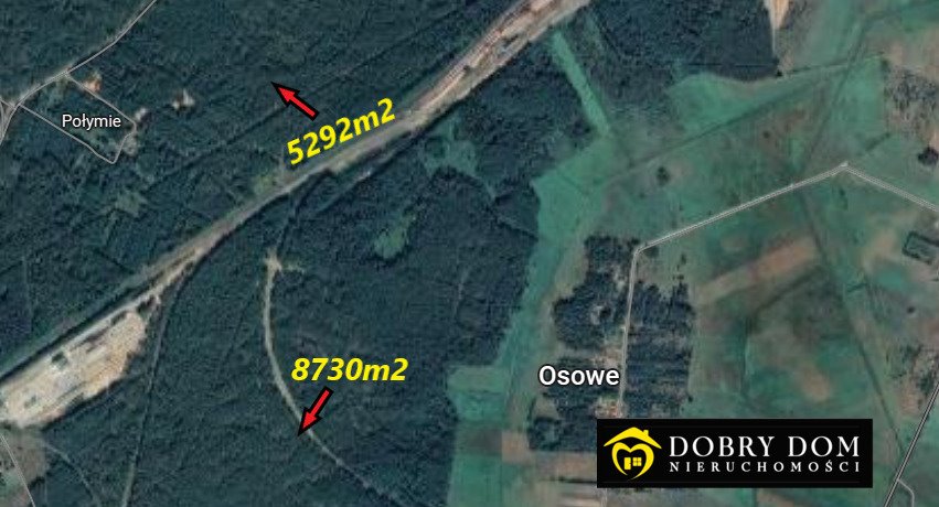 Działka leśna na sprzedaż Siemianówka  14 022m2 Foto 1