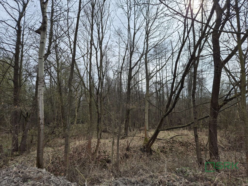Działka rolna 2709 m² w Kanowie, bez dostępu do drogi Kaniów, Kaniów, Stefana Kóski  2 709m2 Foto 1