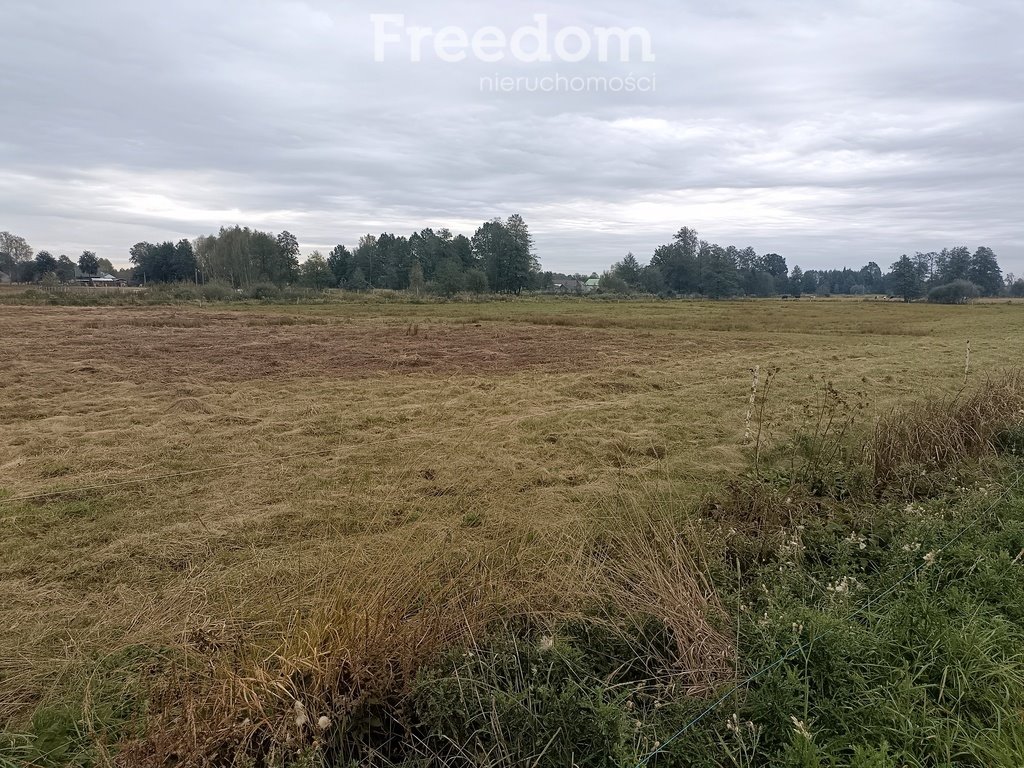 Działka rolna na sprzedaż Rudniki  8 200m2 Foto 3