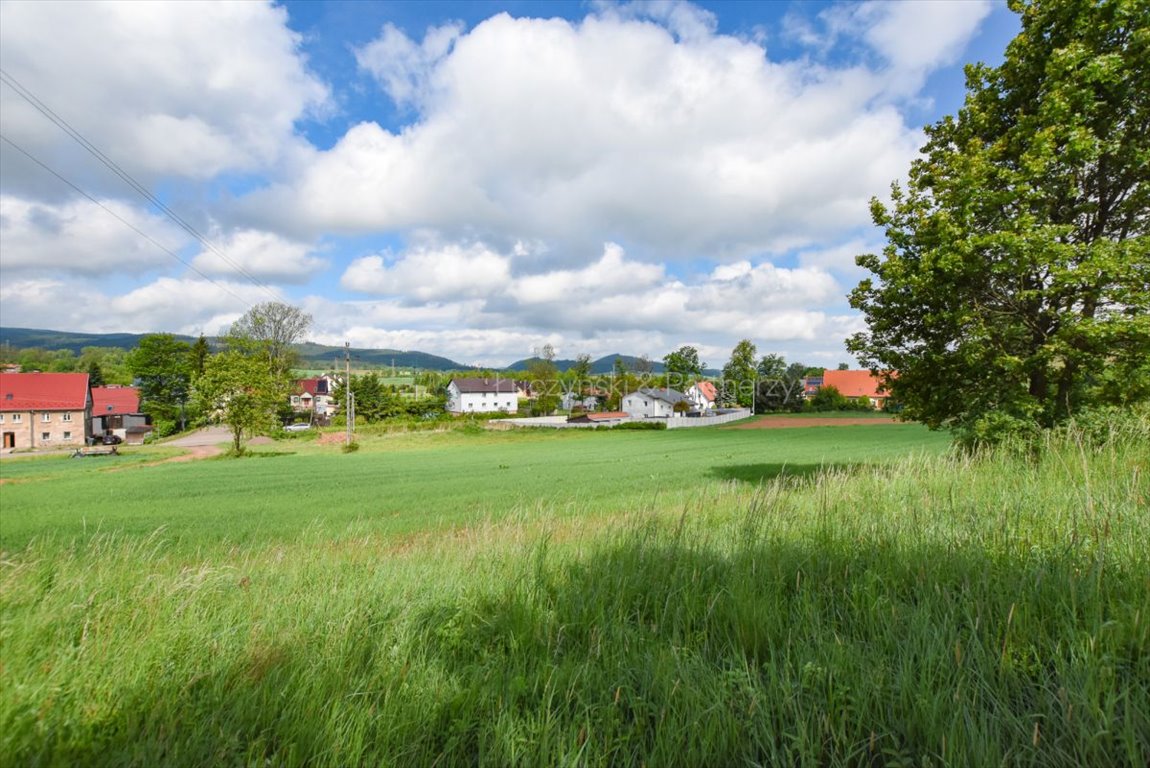 Działka budowlana na sprzedaż Olszyny  2 900m2 Foto 6