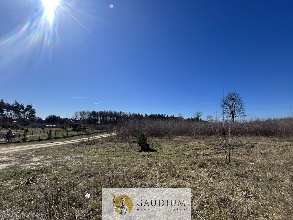 Działka budowlana na sprzedaż Lipinki Królewskie, Zielona  3 104m2 Foto 1