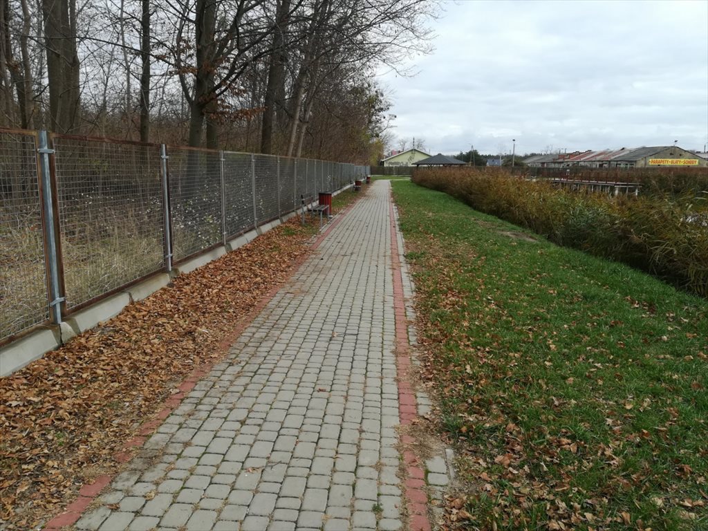 Działka budowlana na sprzedaż Łazy  1 000m2 Foto 14