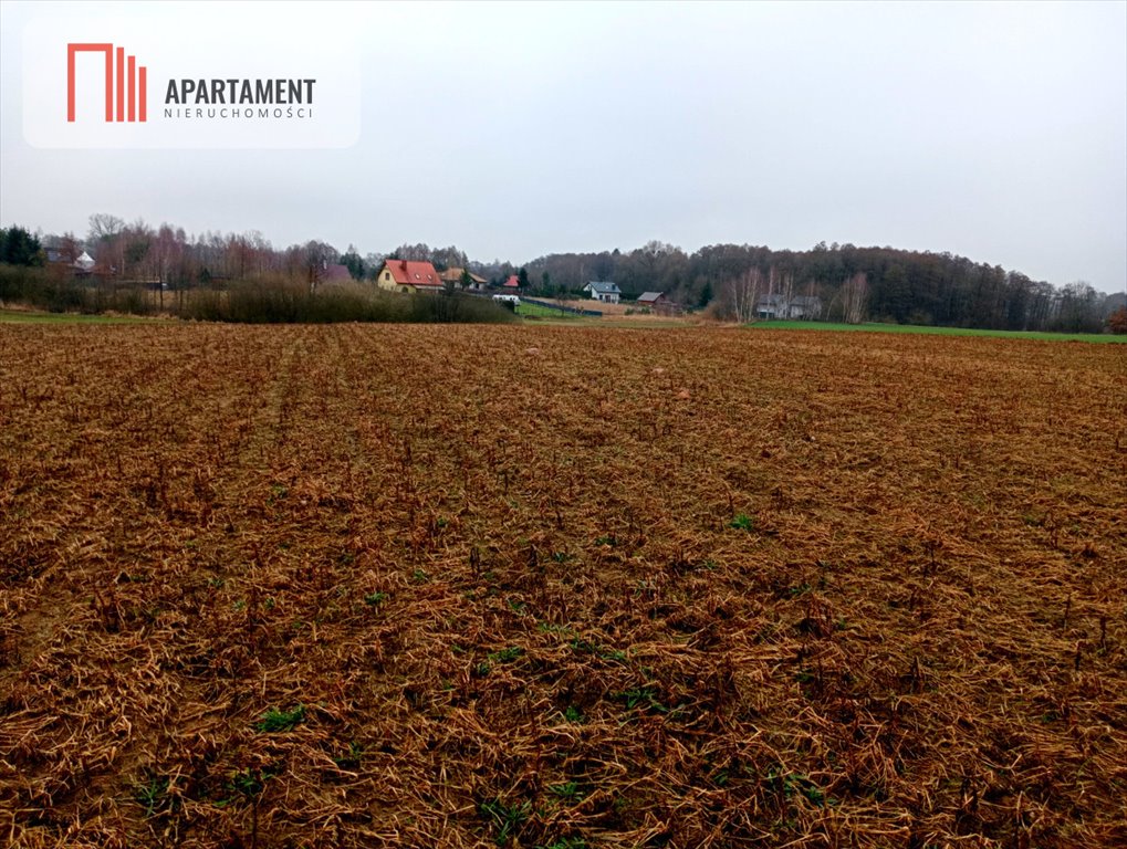 Działka gospodarstwo rolne na sprzedaż Bysław  3 000m2 Foto 7