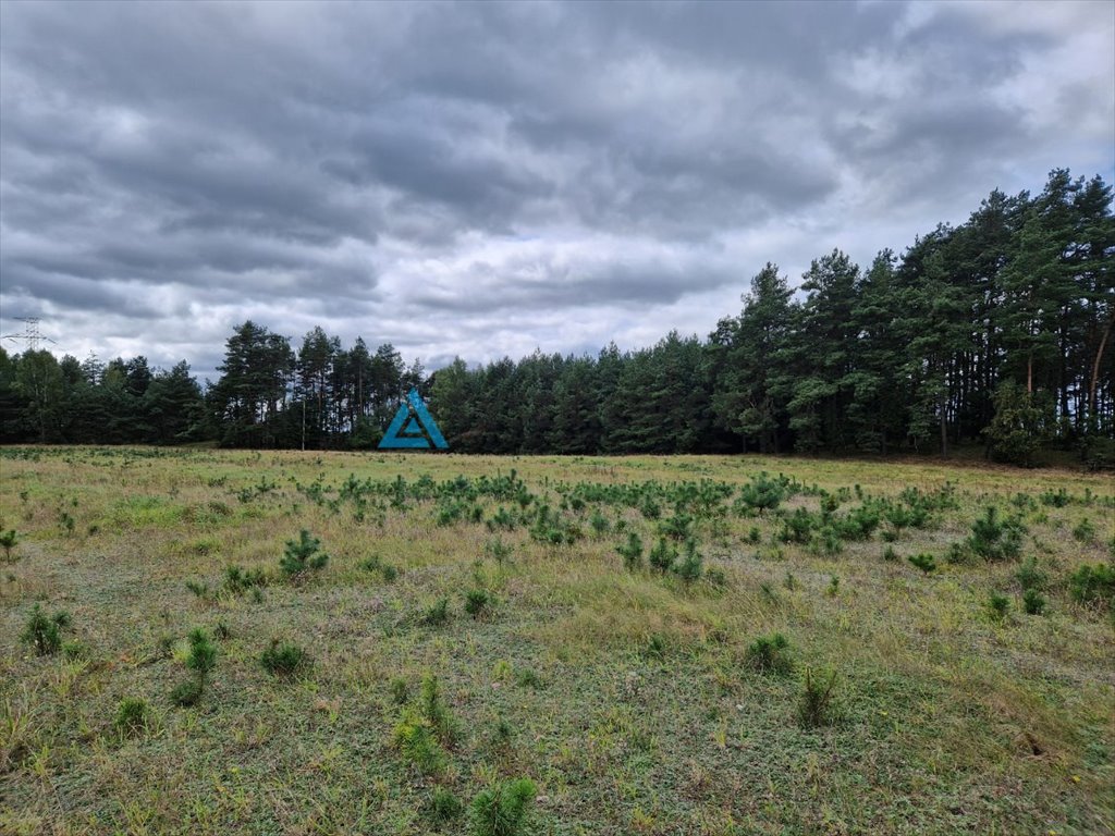 Działka rolna na sprzedaż Skorzewo  53 000m2 Foto 5