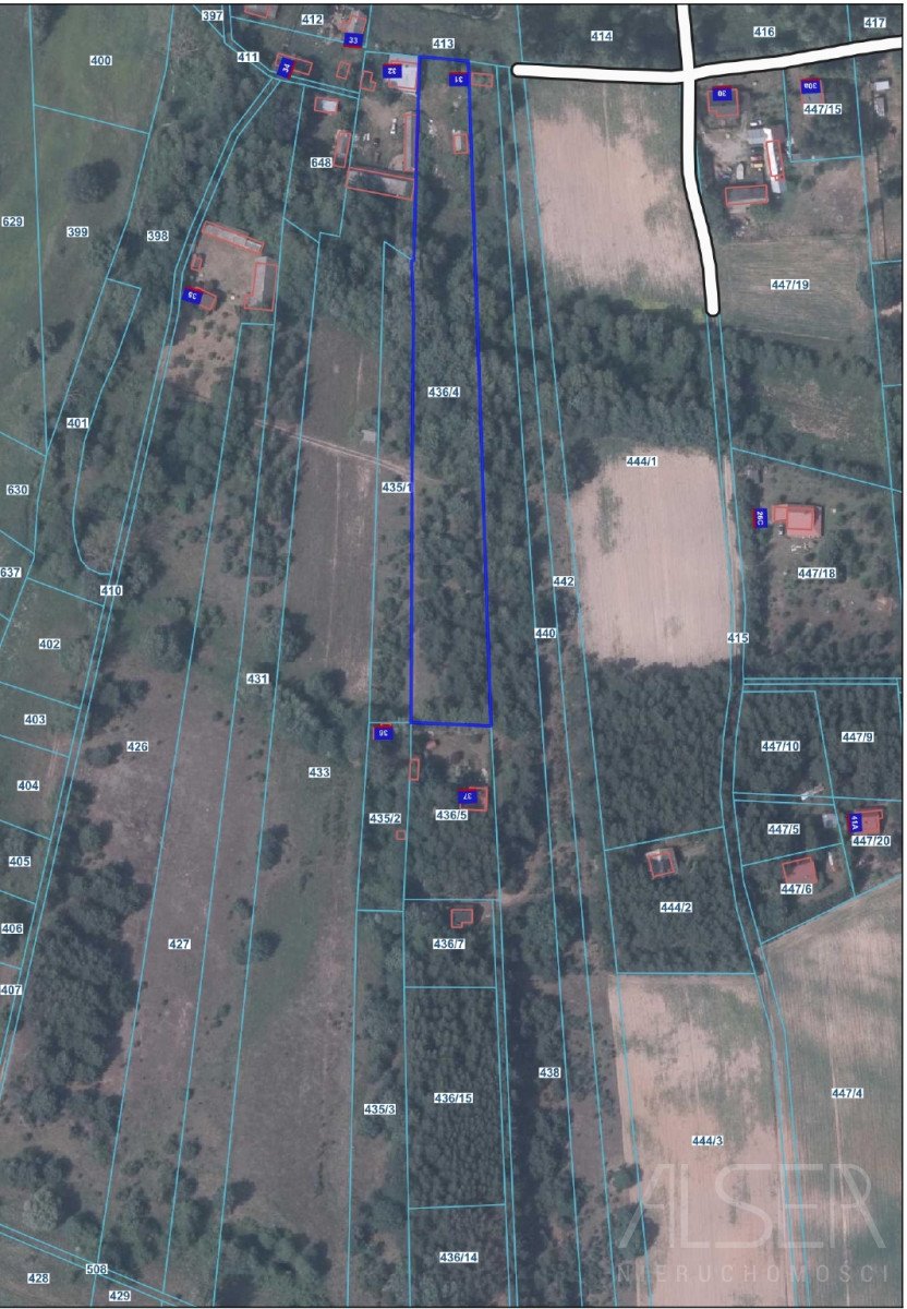 Działka rekreacyjna na sprzedaż Orłowo  3 228m2 Foto 3