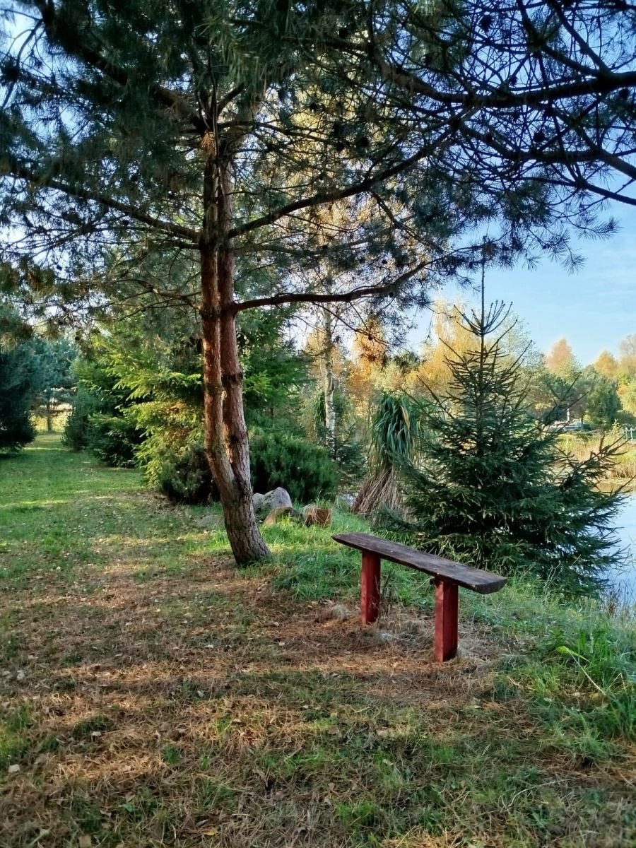 Działka siedliskowa na sprzedaż Strzeżewo  17 000m2 Foto 2