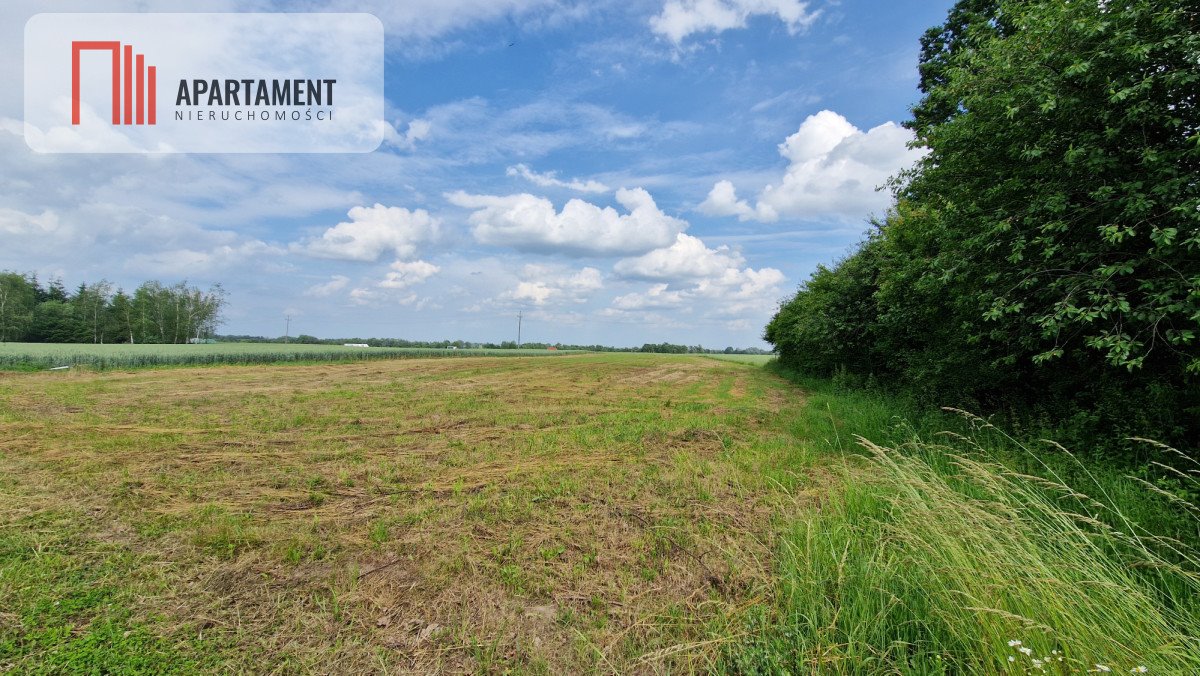 Działka budowlana na sprzedaż Wiewiórczyn  1 000m2 Foto 1