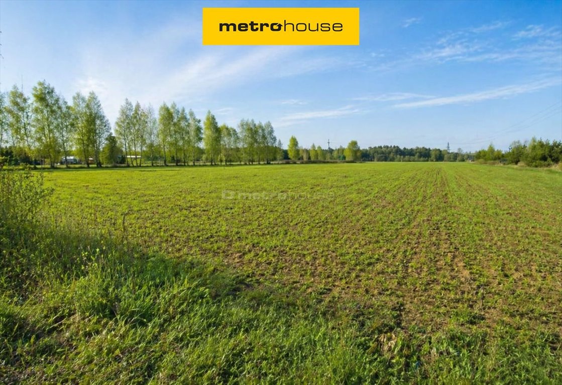 Przestronna działka 4000 m² z prywatnym domem w Piaski Piaski  3 900m2 Foto 1