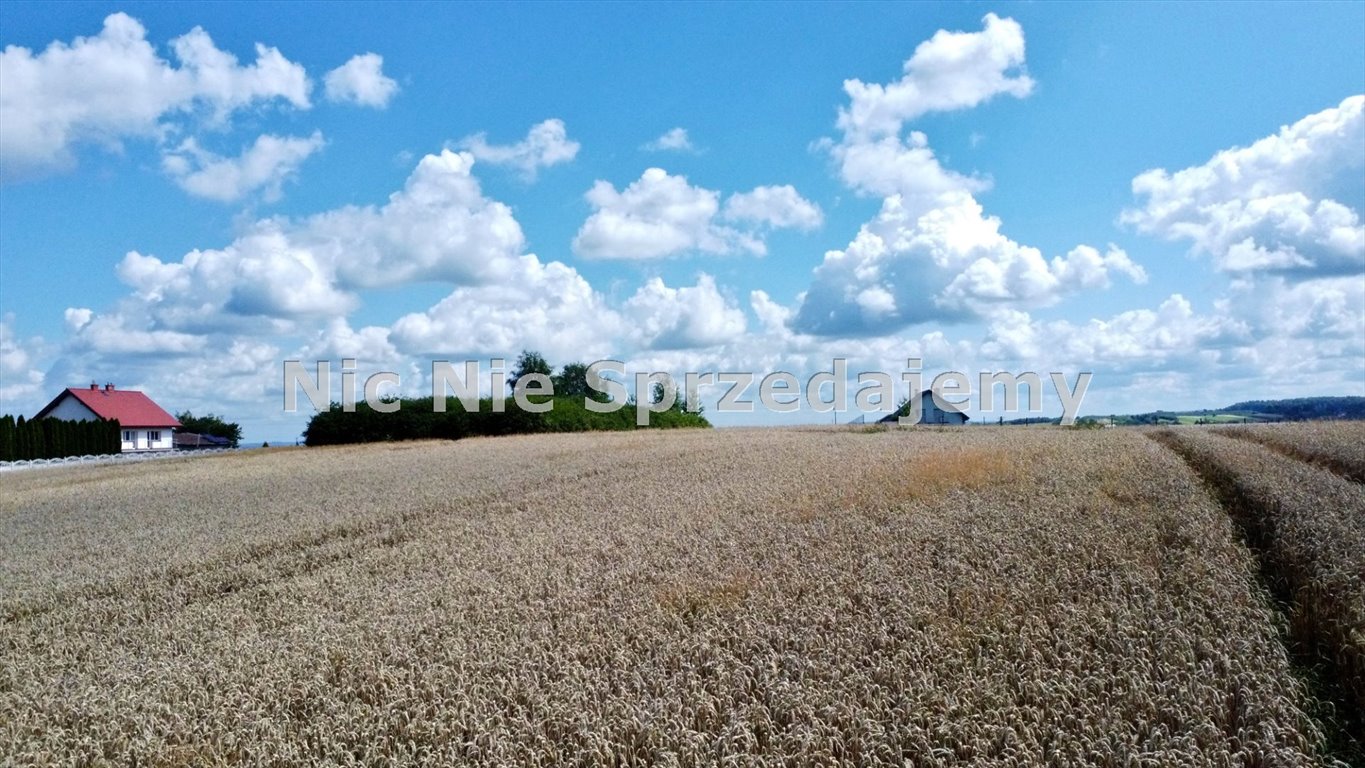 Działka budowlana na sprzedaż Dębno, Sufczyn, Szkolna  2 400m2 Foto 2