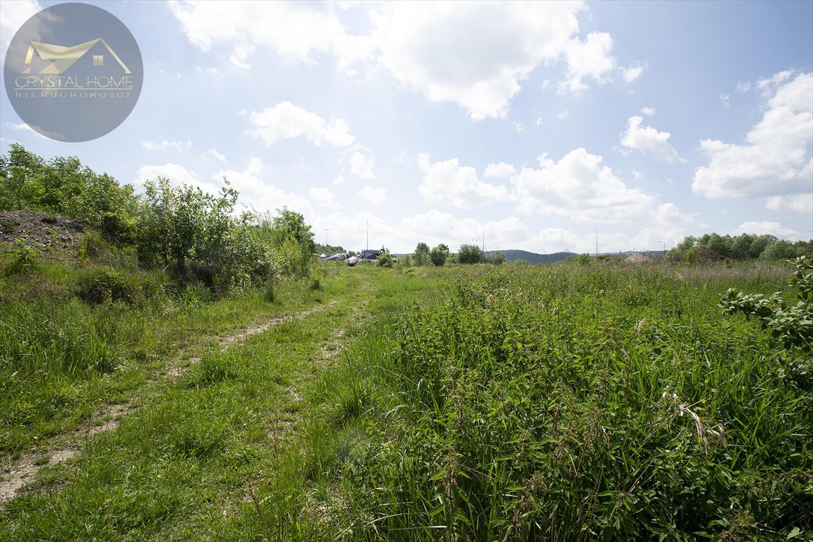 Działka rolna na sprzedaż Bielawa  6 016m2 Foto 1