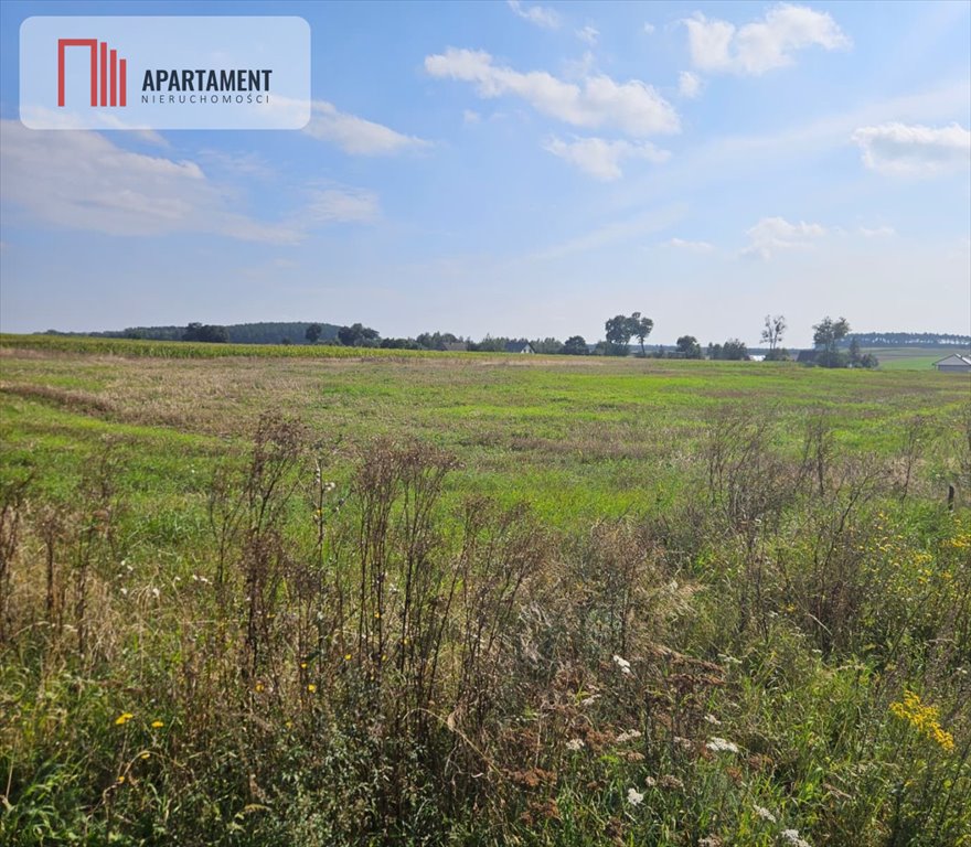 Działka budowlana na sprzedaż Smogorzewo  885m2 Foto 1