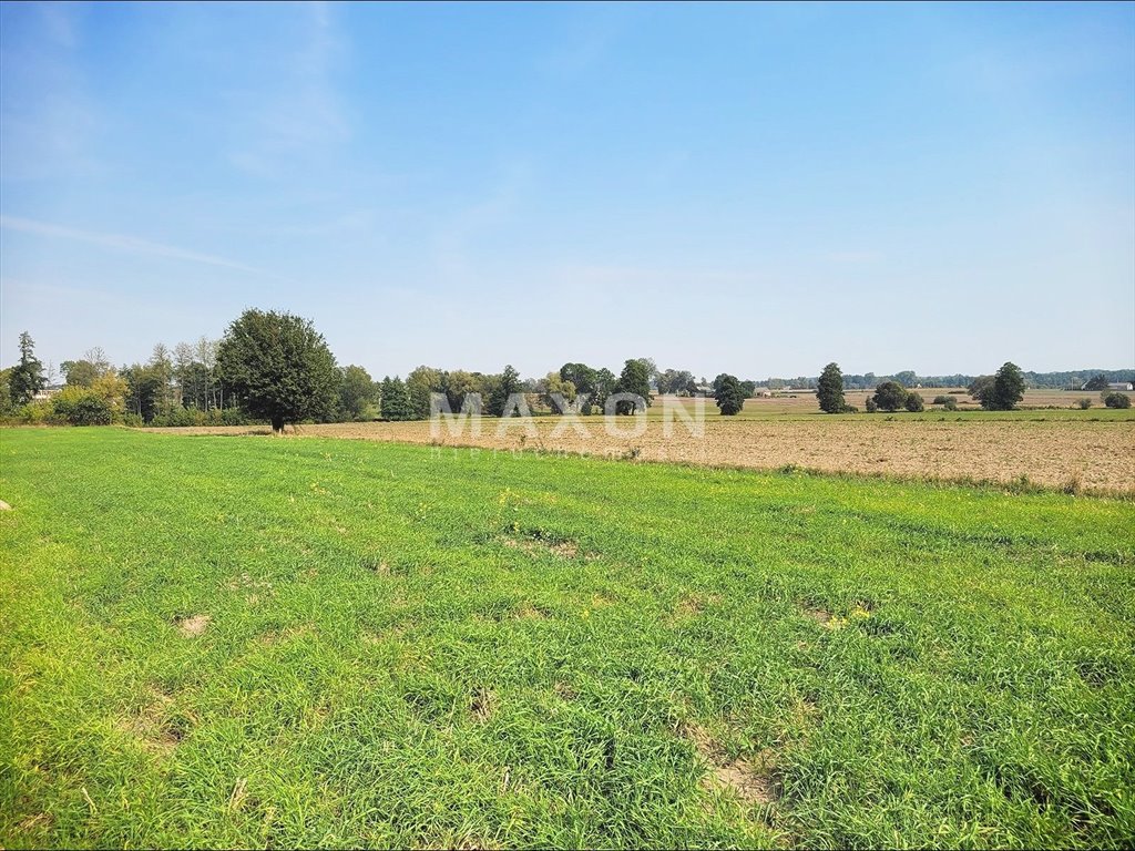 Działka budowlana na sprzedaż Powielin  22 600m2 Foto 15