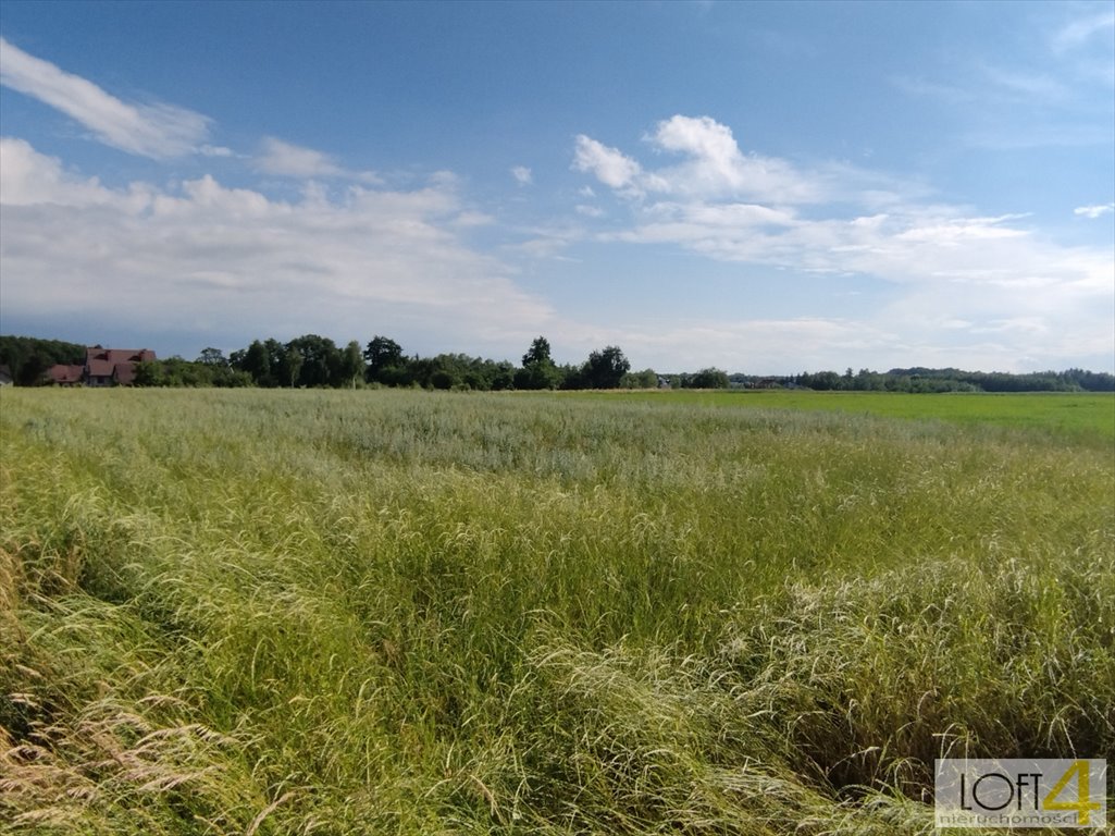 Działka inna na sprzedaż Dąbrowa Tarnowska, Żabieńska, Bagienica  1 850m2 Foto 4